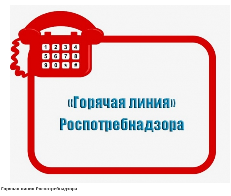 «Горячая линия» по вопросам детского отдыха..