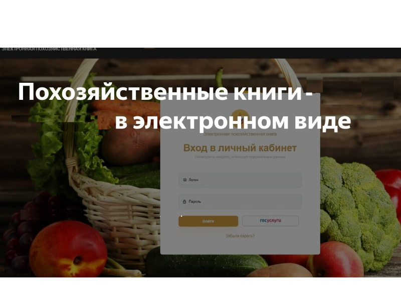 Похозяйственная книга-2024-2028..